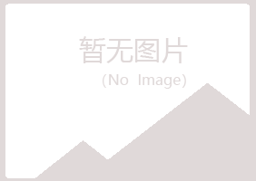 赤峰红山谷波能源有限公司